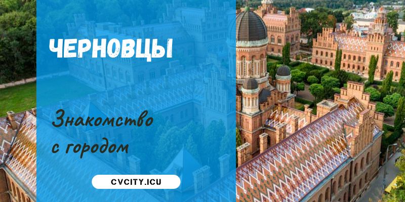 cvcity