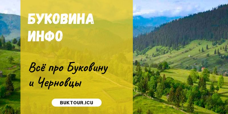buk-info